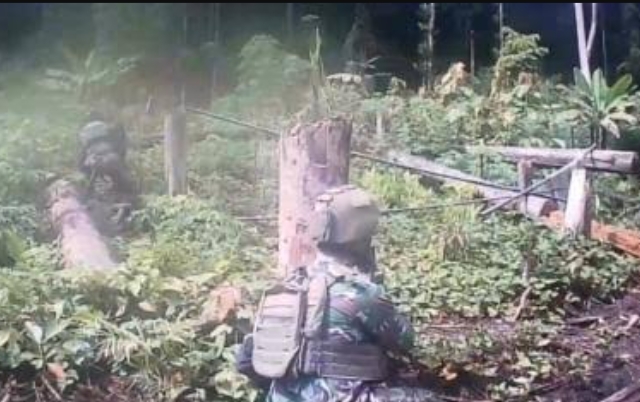 TNI Lumpuhkan Anggota OPM di Yahukimo, Dua Tewas dalam Operasi Terukur