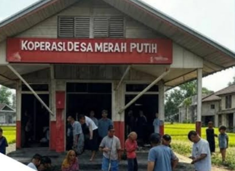 Koperasi Merah Putih Disiapkan Jadi Offtaker Hasil Produksi Petani